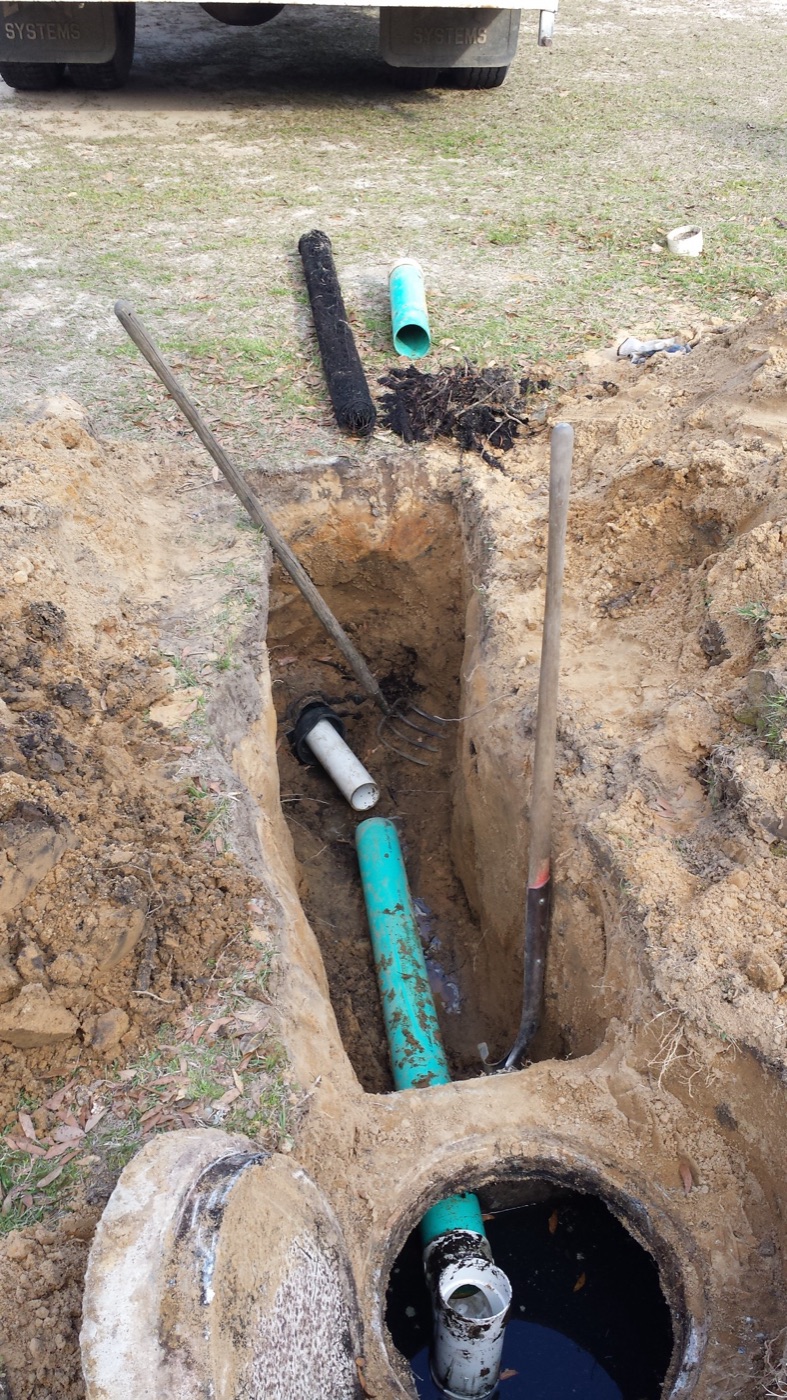 Drain lines and roots exposed in a hand-dug hole during a clogged septic line repair